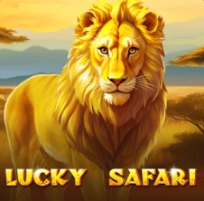 Slot casino 31